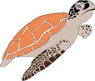 Sea turtle Animal Wildlife Stickdatei