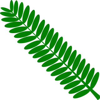 Green Home Leaf Stickdatei