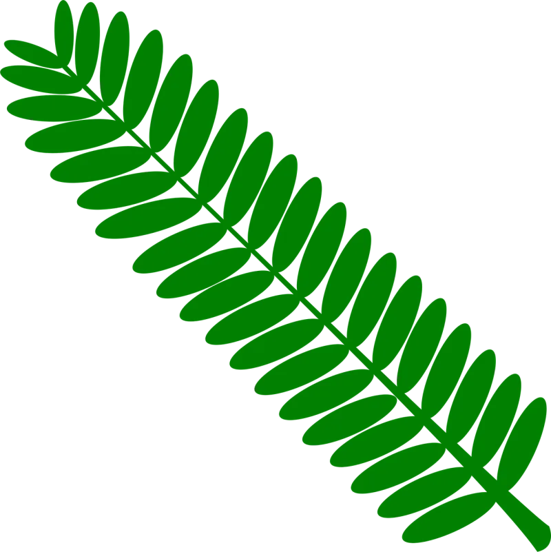 Green Home Leaf Stickdatei – Natur