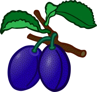Education Fruit Plum Stickdatei