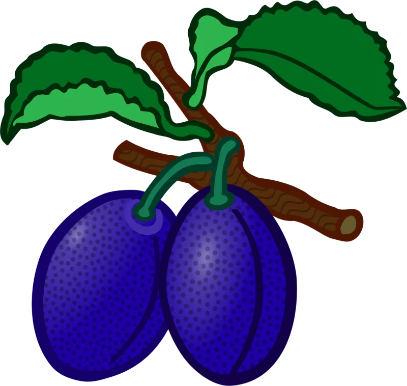 Education Fruit Plum Stickdatei – Essen & Trinken