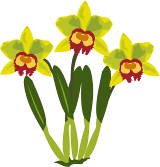 Clip art Flower wallpaper Flor Stickdatei