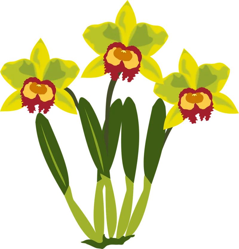 Clip art Flower wallpaper Flor Stickdatei – Blumen