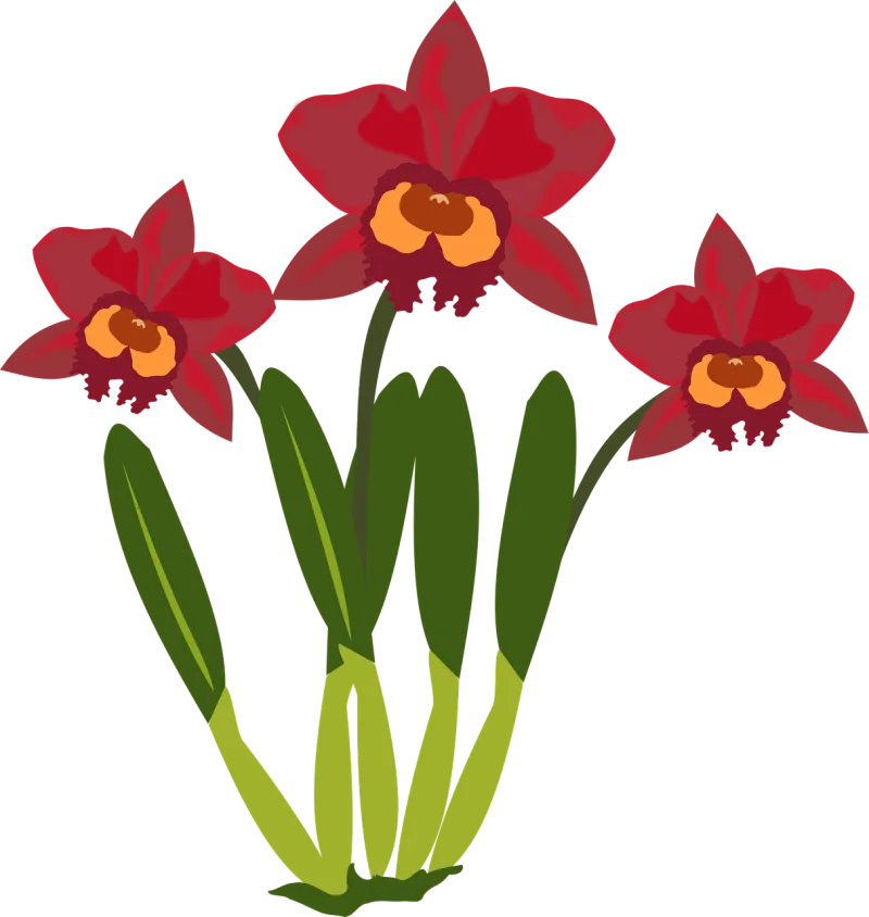 Clip art Beautiful flowers Flower wallpaper Stickdatei – Blumen