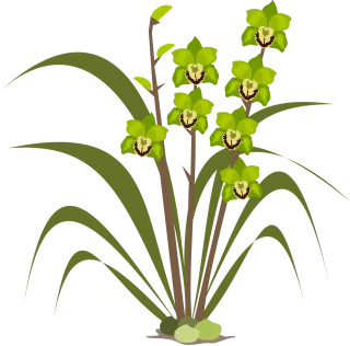 Clip art Beautiful flowers Flor Stickdatei
