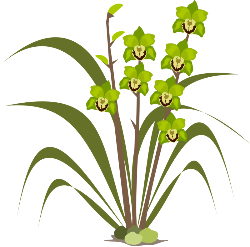 Clip art Beautiful flowers Flor Stickdatei – Blumen