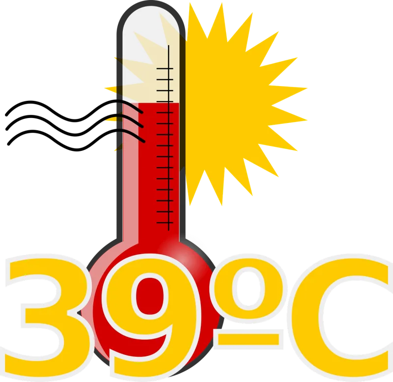 Fever Hot temp Thermometer Stickdatei – Natur