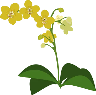 Clip art Beautiful flowers Flower background Stickdatei