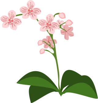 Clip art Flower wallpaper Flor Stickdatei