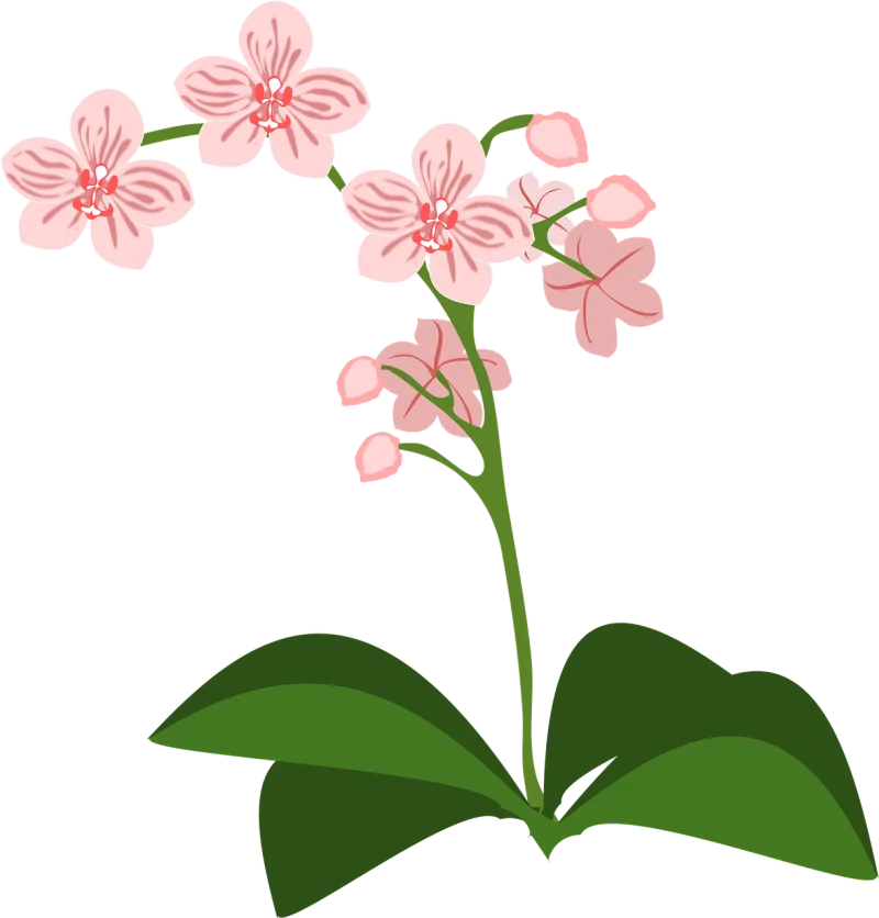 Clip art Flower wallpaper Flor Stickdatei – Blumen