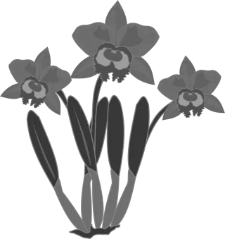 Clip art Flor Flower wallpaper Stickdatei