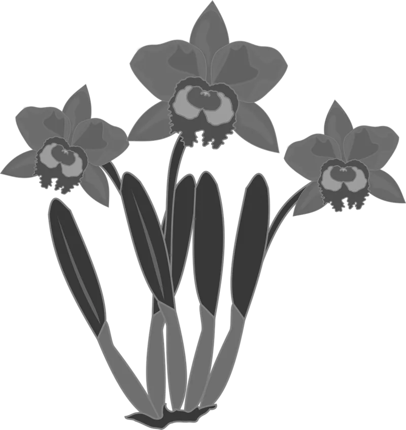 Clip art Flor Flower wallpaper Stickdatei – Blumen