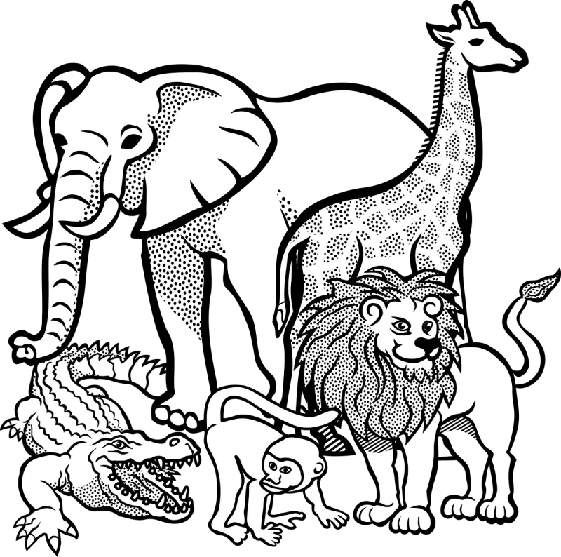Africa Animal Animals Stickdatei – Tiere