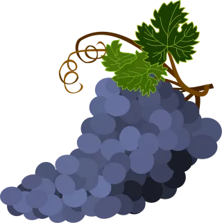 Bunch of grapes Grape leaves Grapes Stickdatei – Natur