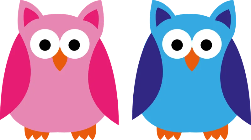 Owl Blue Pink Stickdatei – Natur