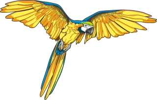Parrot Macaw Nature Stickdatei