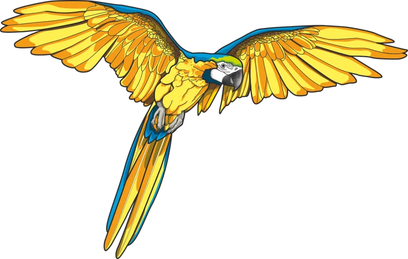 Parrot Macaw Nature Stickdatei – Tiere