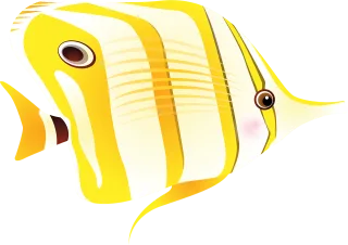 Butterfly fish Fish Tropical fish Stickdatei