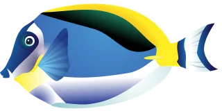 Fish Nature Tropical fish Stickdatei