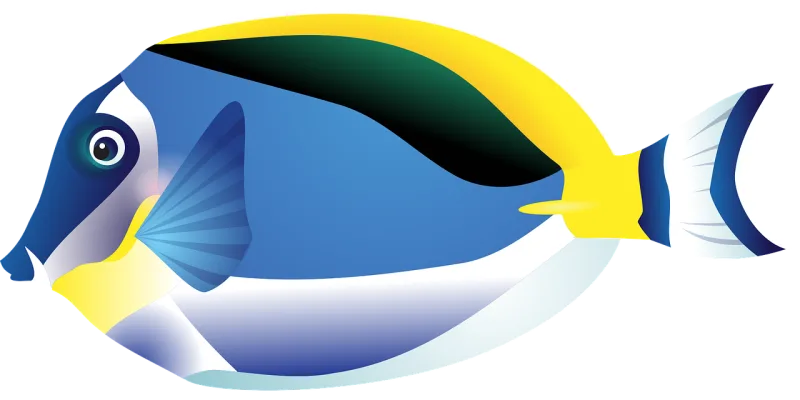 Fish Nature Tropical fish Stickdatei – Tiere