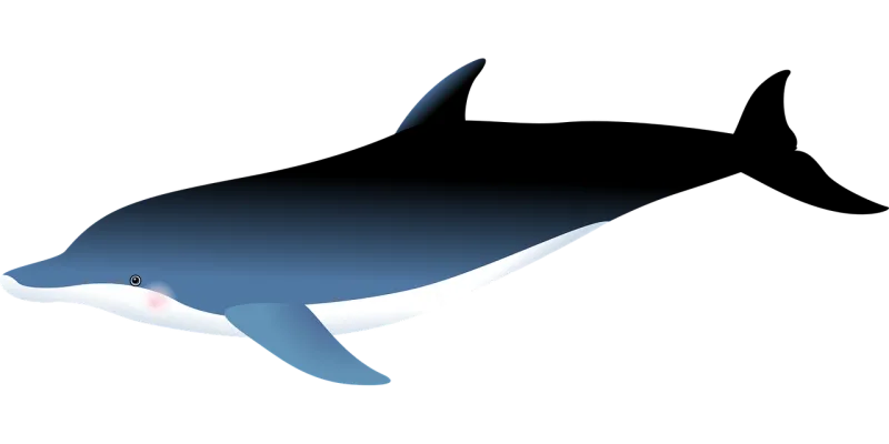 Dolphin Ocean Nature Stickdatei – Tiere