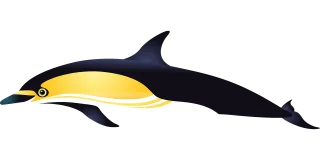 Dolphin Ocean Fish Stickdatei