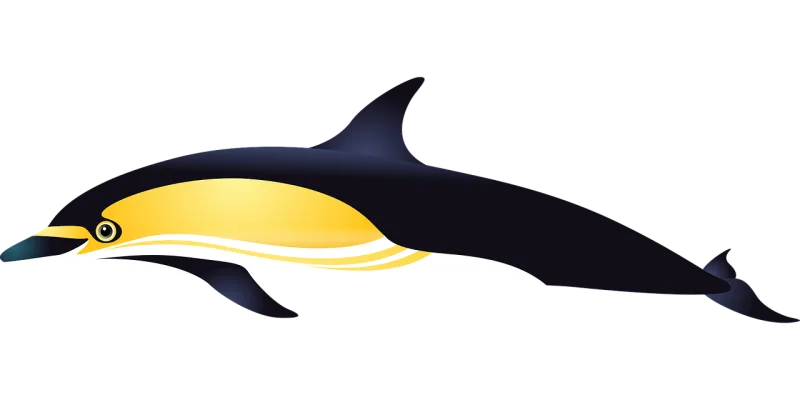 Dolphin Ocean Fish Stickdatei – Tiere
