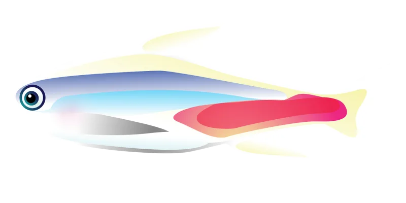 Fish Tropical fish Nature Stickdatei – Tiere