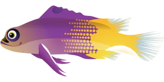 Fish Tropical fish Nature Stickdatei