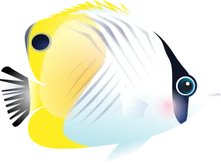 Fish Tropical fish Ocean Stickdatei