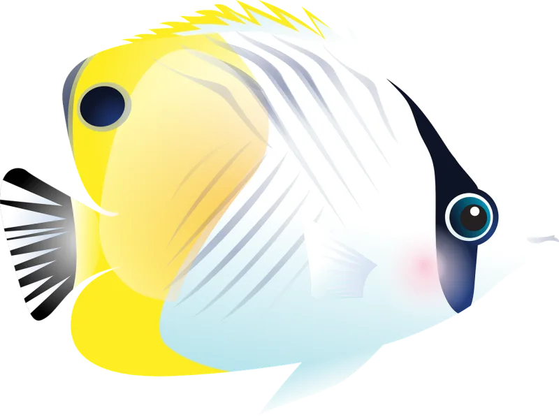Fish Tropical fish Ocean Stickdatei – Tiere