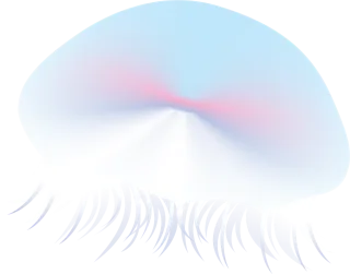 Fish Tropical fish Ocean Stickdatei