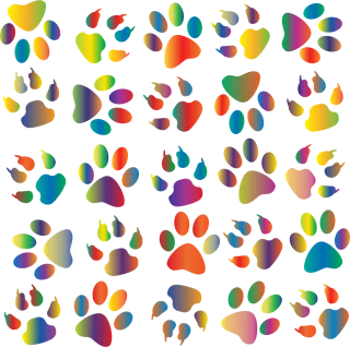 Colorful Prismatic Rainbow Stickdatei – Kinder