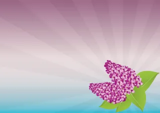 Lilac Flowers Flower background Stickdatei