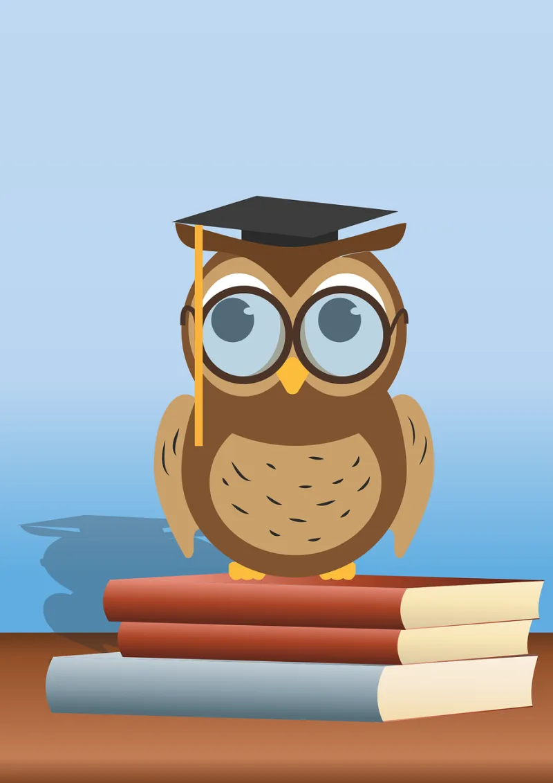 Reading owl A book Owl Stickdatei – Tiere