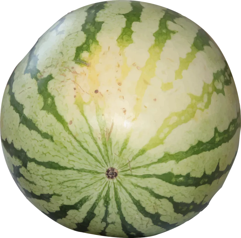Watermelon Berry Striped Stickdatei – Essen & Trinken