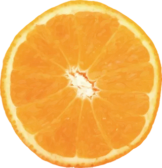 Orange Vector Fruit Stickdatei – Essen & Trinken