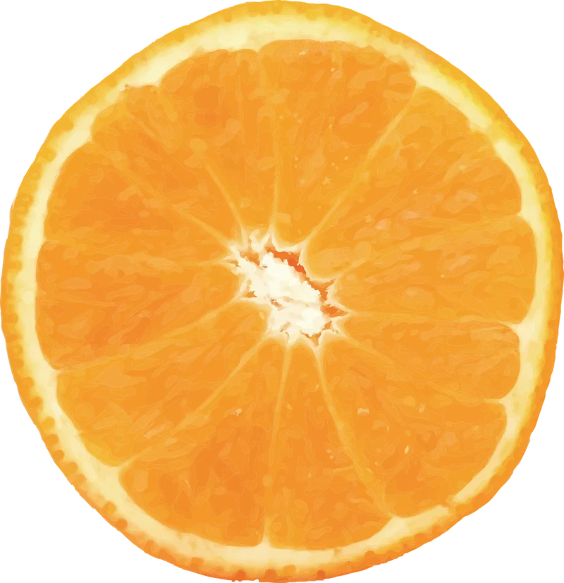 Orange Vector Fruit Stickdatei – Essen & Trinken