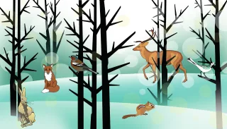 Forest Animals Winter Stickdatei