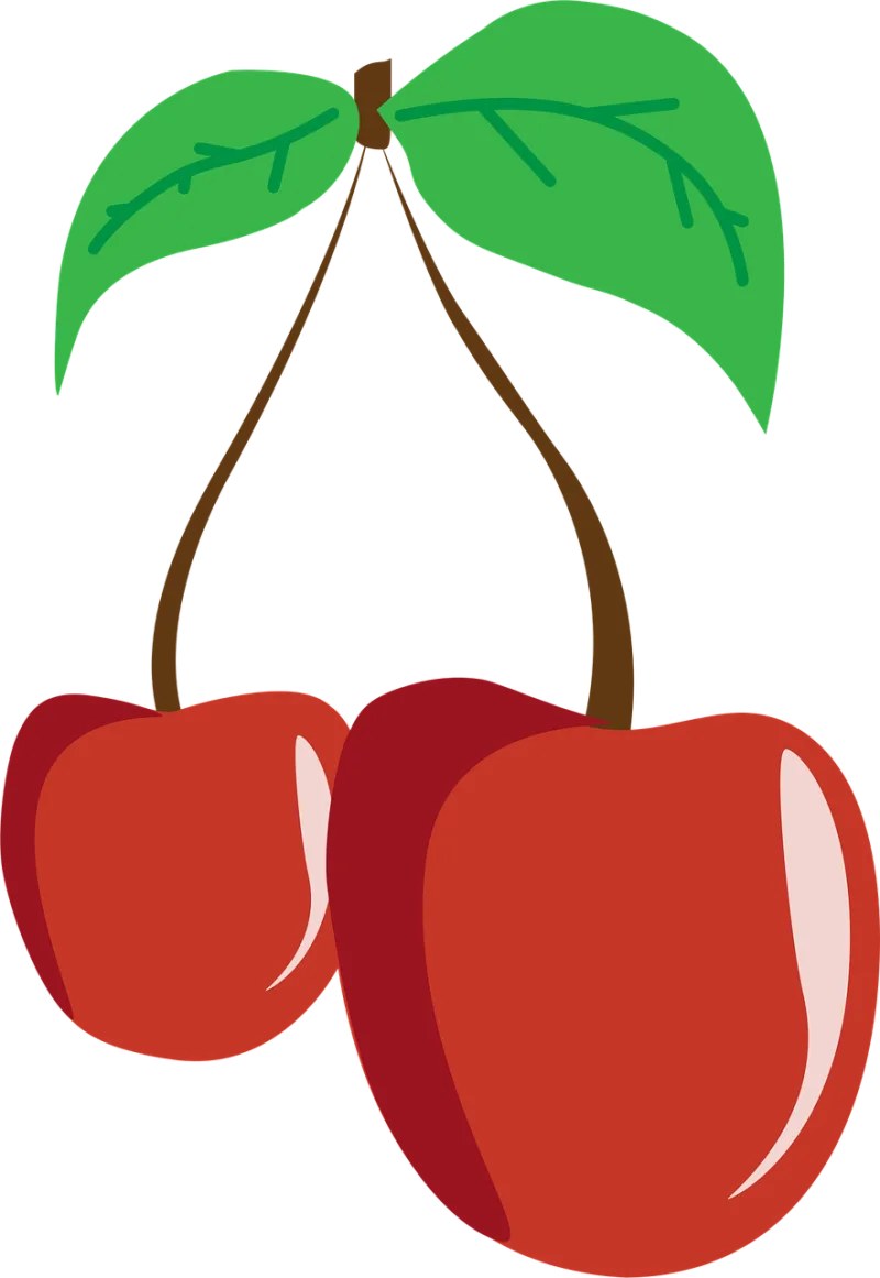 Cherry Fruit Nature Stickdatei – Essen & Trinken