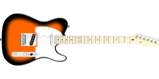 Music Instrument Guitar Stickdatei
