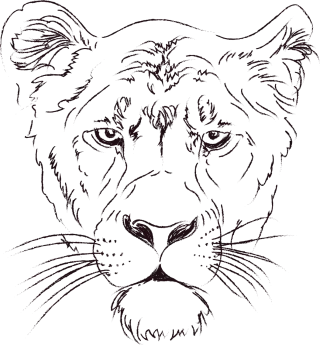 Lioness Lion Animals Stickdatei