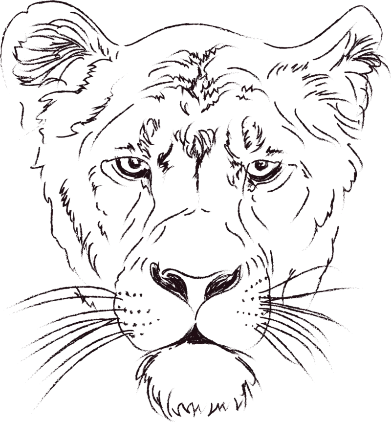 Lioness Lion Animals Stickdatei – Tiere