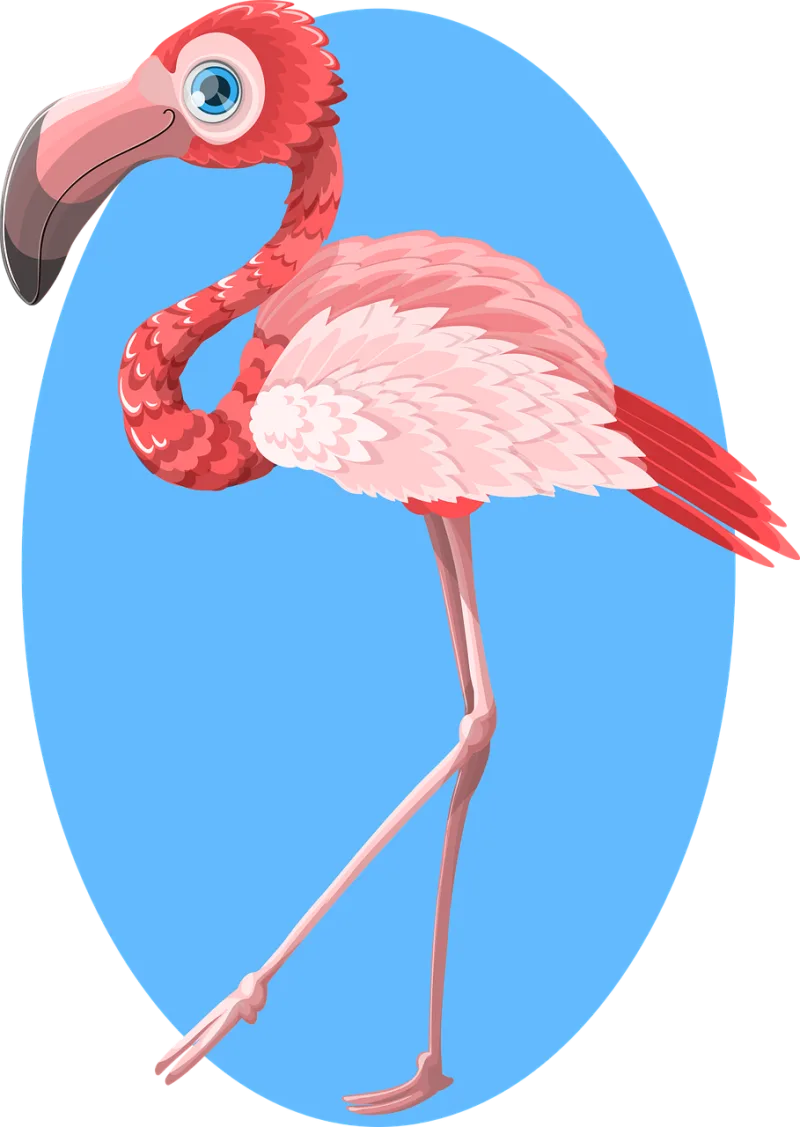 Flamingo Animal Zoo Stickdatei – Natur