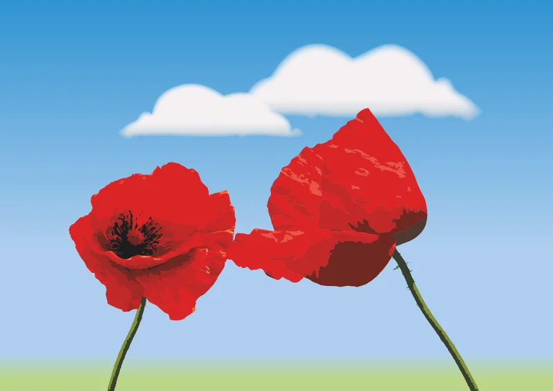 Corn poppy Blossoms Beautiful flowers Stickdatei – Blumen