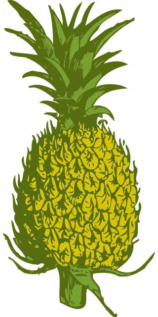 Pineapple Fruit Food Stickdatei – Essen & Trinken