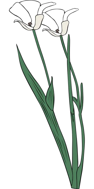 Lily Beautiful flowers Flower Stickdatei