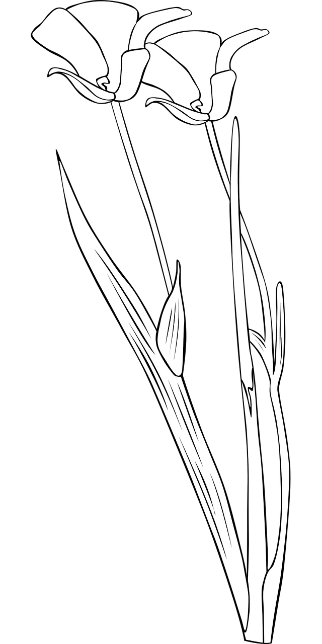 Lily Beautiful flowers Flower background Stickdatei – Blumen