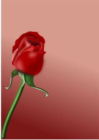 Rose Flower Love Stickdatei