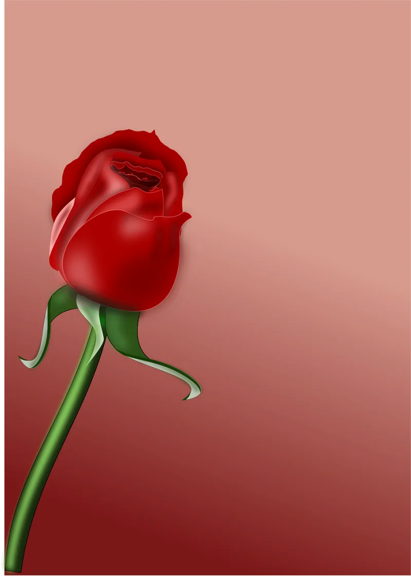 Rose Flower Love Stickdatei – Blumen